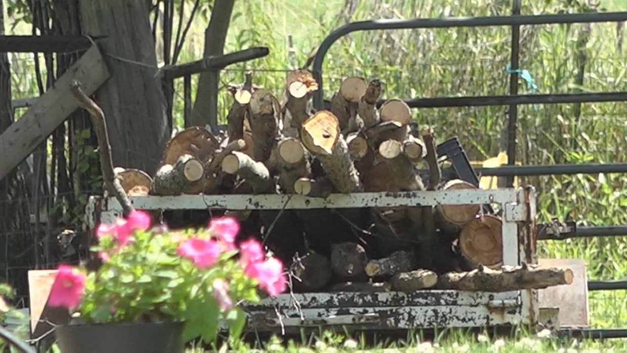 firewood-at-property-where-man-got-hit-by-lightning.jpg 