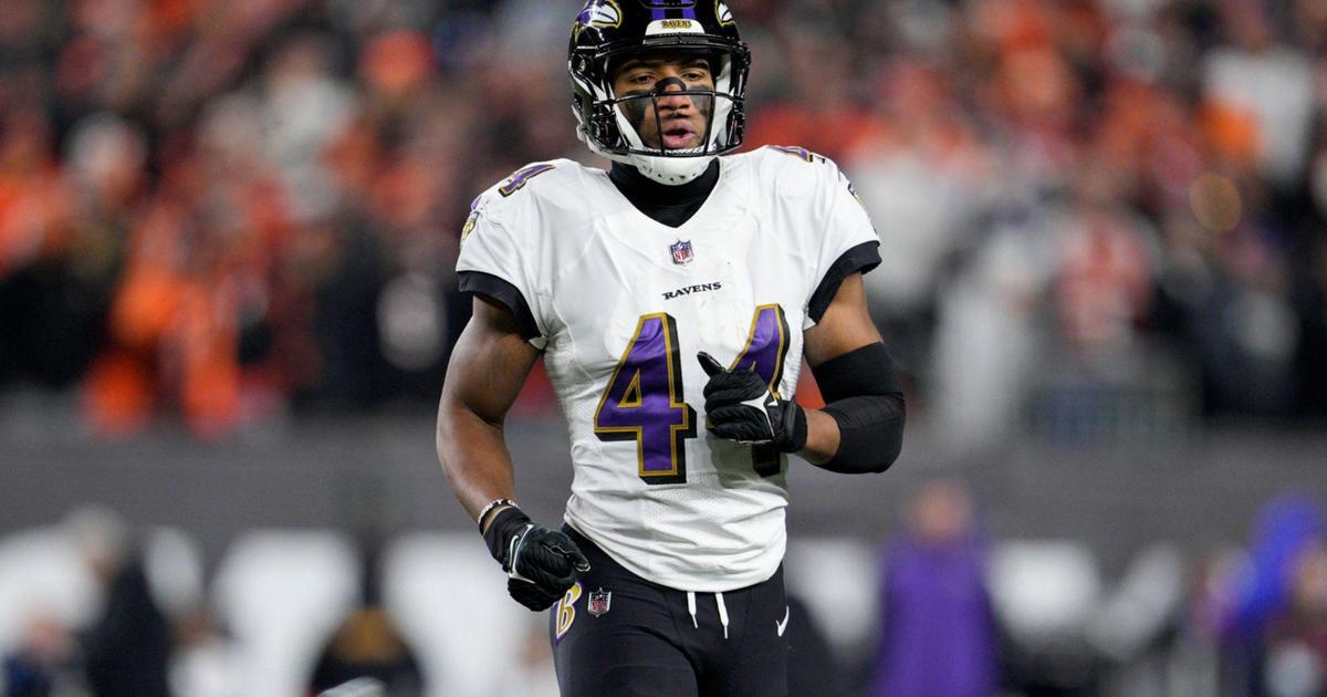 Heavy on Ravens - The Young Baltimore Ravens are Ready to Step in