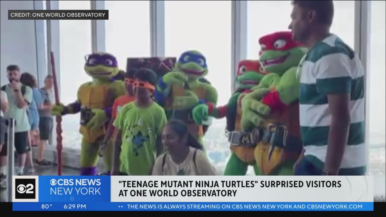 Teenage Mutant Ninja Turtles Clears $1 Billion In Retail Sales For 2023  Alone – Deadline