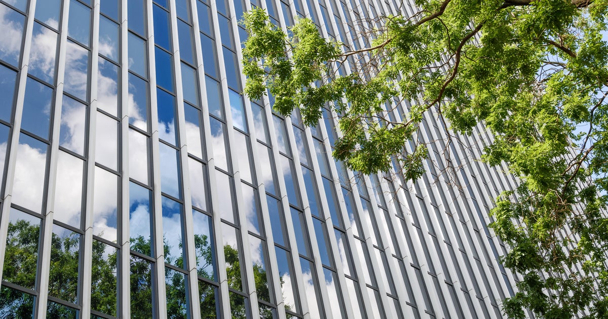 Foundation says more trees needed for those stuck on Dallas urban heat island Foundation says more trees needed for those stuck on Dallas urban heat island