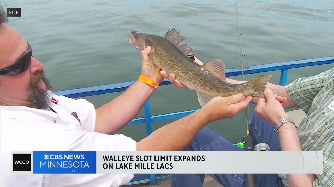 DNR expands walleye size slot anglers can keep from Lake Mille Lacs - CBS  Minnesota