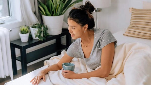 Classic REM5 Organic Mattress