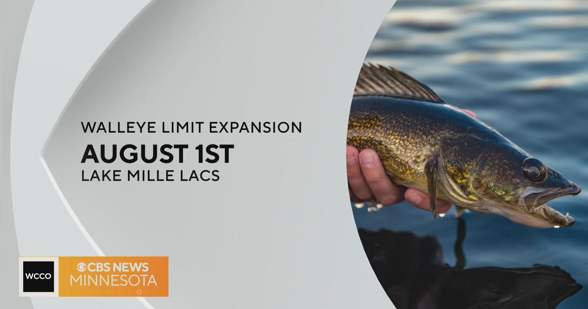 Lake Mille Lacs to expand Walleye limit CBS Minnesota