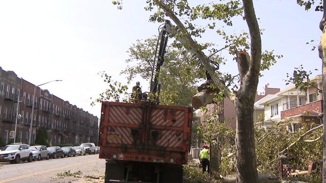 Construction equipment is used to move a large part of a downed tree into a truck. 