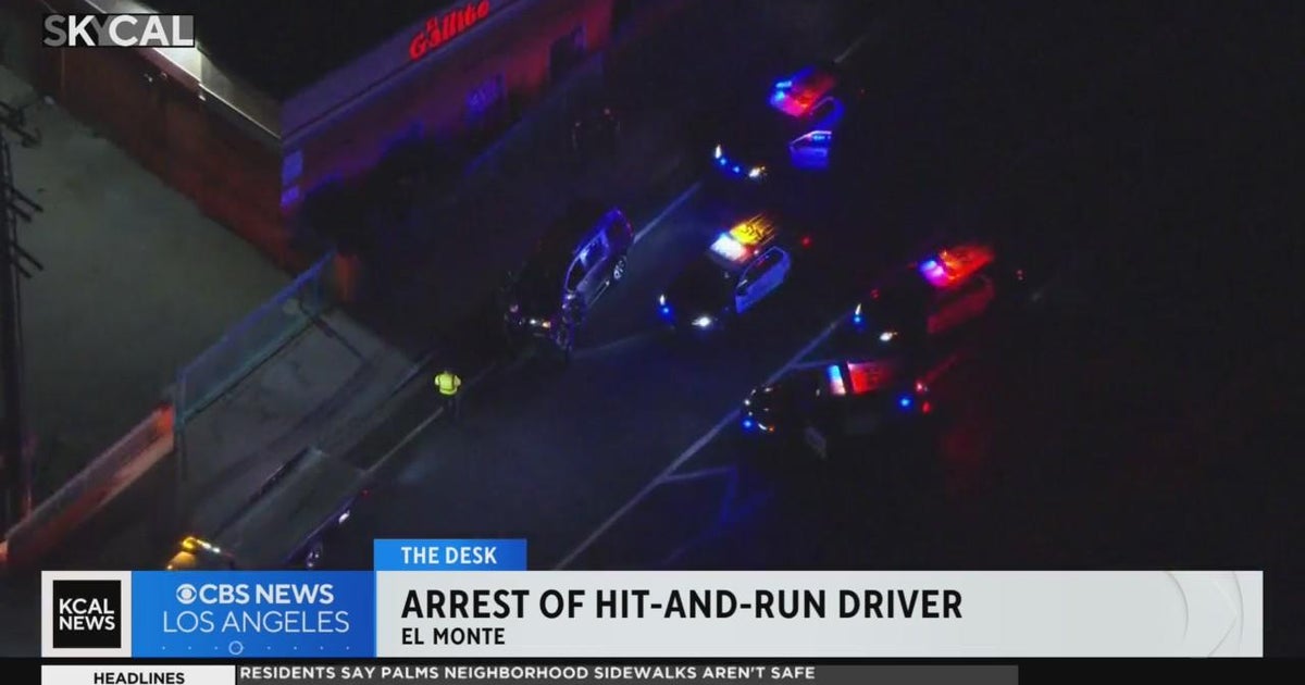 Hit-and-run driver arrested after fleeing from police, crashing into ...