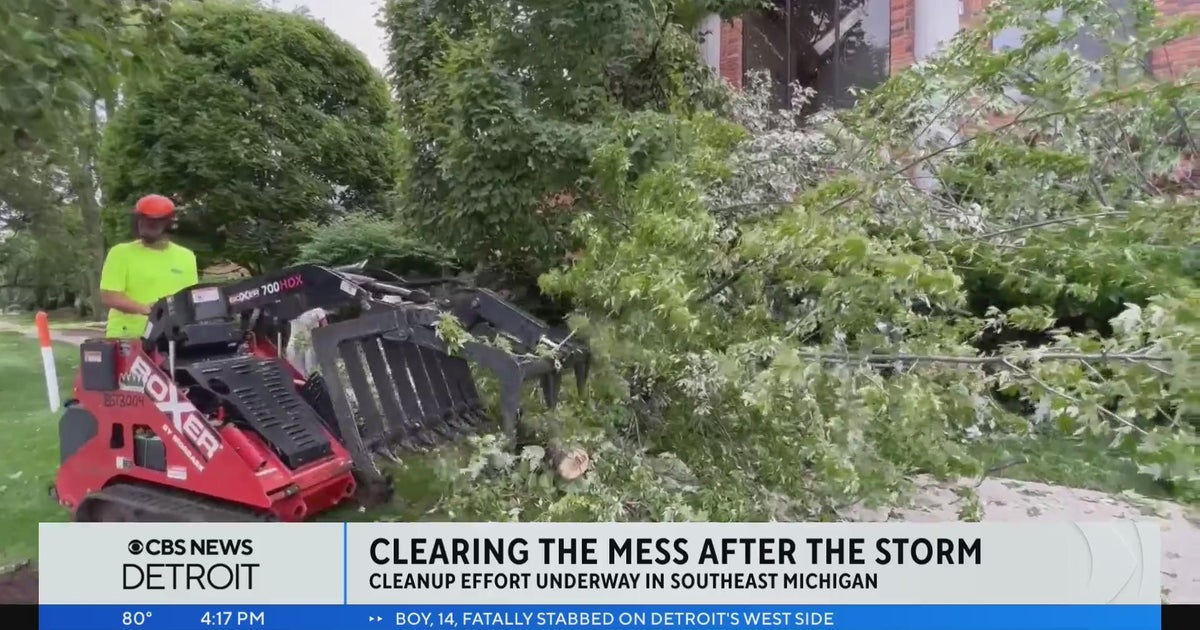 Cleanup efforts underway in Southeast Michigan after Wednesday's storm ...