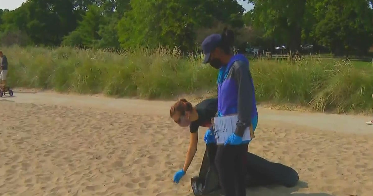 Shedd Aquarium seeking volunteers to clean Calumet Park on East Side