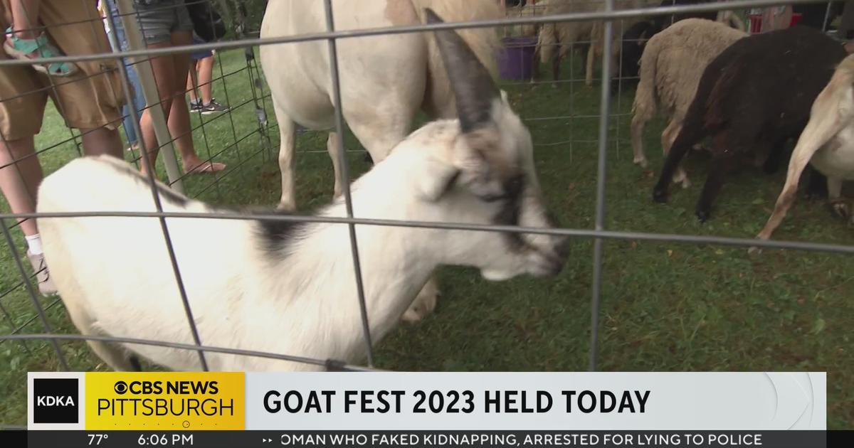 Goat Fest 2023 held in South Side CBS Pittsburgh