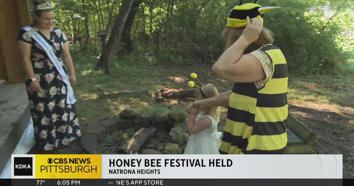 Honey bee festival takes place in Natrona Heights CBS Pittsburgh