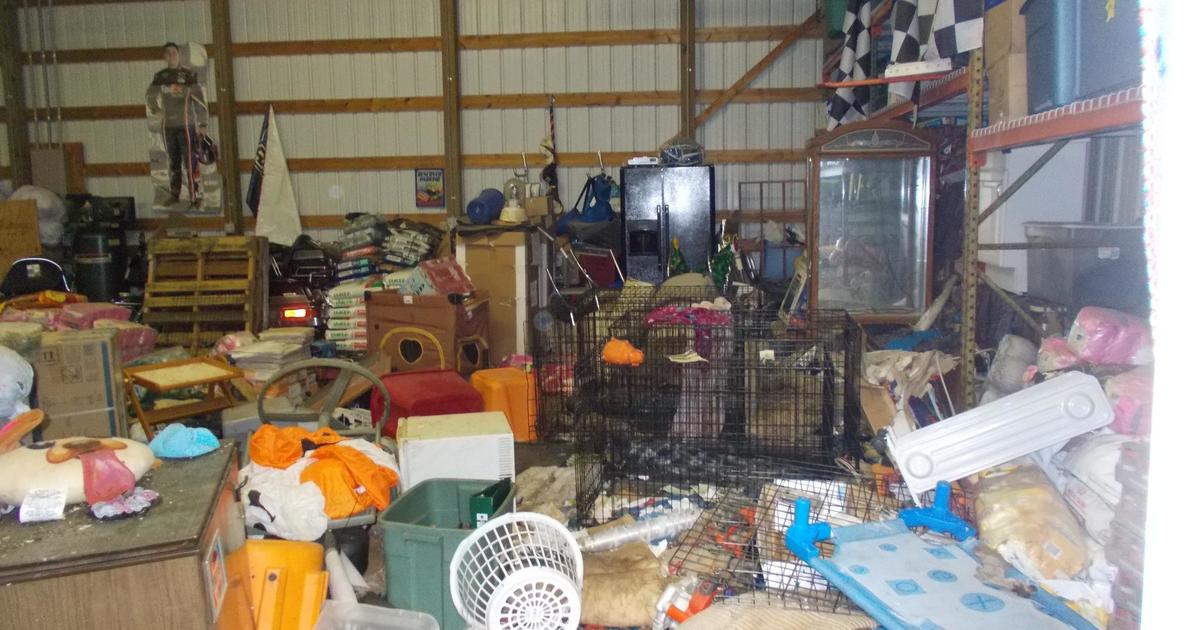 30 кучета и кученца намерени мъртви, десетки спасени от „непригодни за живеене“ условия в имоти в Охайо