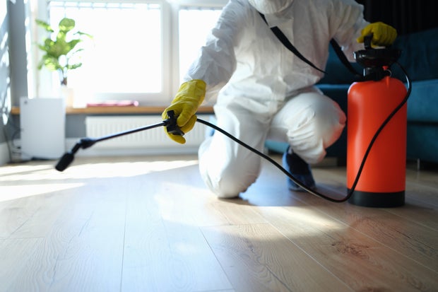 Person in protective gear kneeling with disinfectant spray