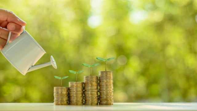 Fund investment / portfolio management for long term sustainable growth concept : Investor pours water from watering can, sprout on rows of rising coins, depicts money gain from financial investment. 