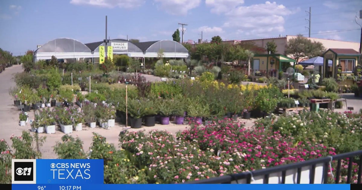 North Texas nurseries struggling to keep plants hydrated amid excessive