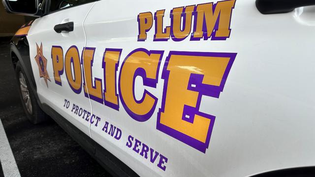 plum-police-1.jpg 