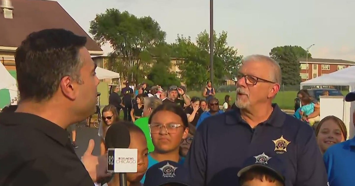 Police join community for National Night Out in Park CBS Chicago