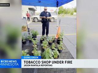 total tobacco faribault Faribault police seize weed plants for sale at tobacco store