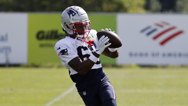 NFL: AUG 03 New England Patriots Training Camp 