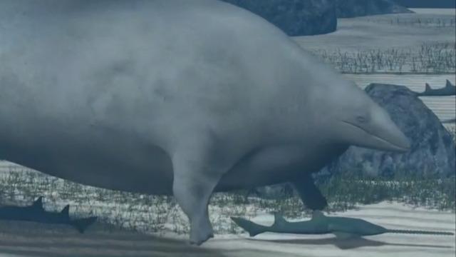 cbsn-fusion-newly-discovered-ancient-whale-may-have-been-heaviest-animal-ever-thumbnail-2177989-640x360.jpg 