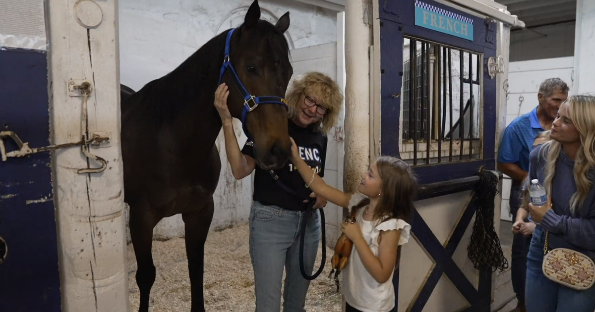 Newest Chicago police horse named for fallen Officer Ella French Newest Chicago police horse named for fallen Officer Ella French