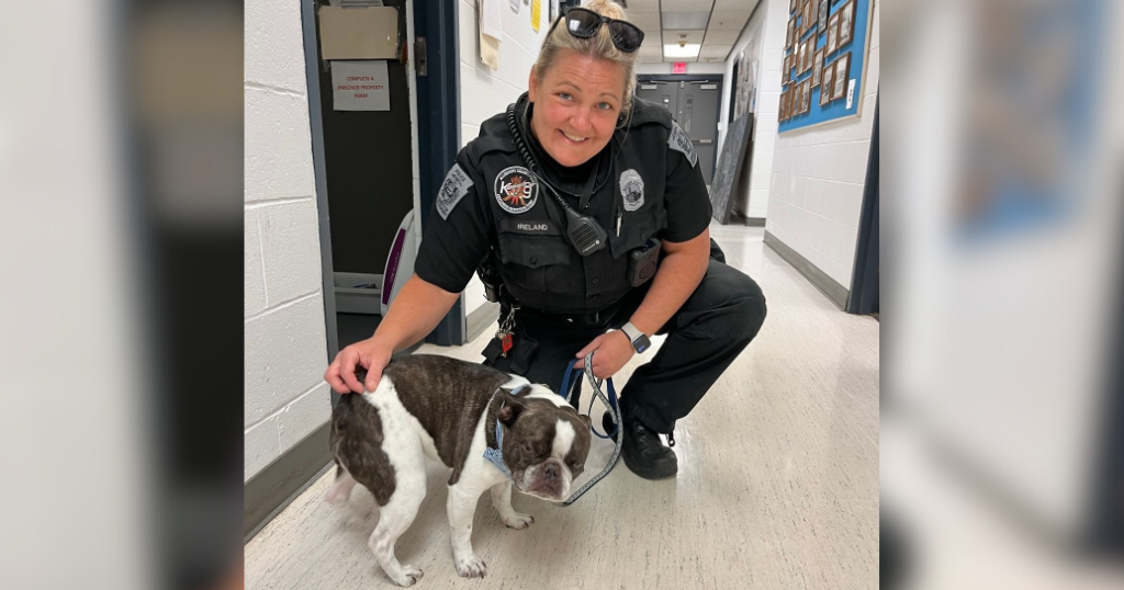 Charges filed against owner that abandoned dog at Pittsburgh International Airport