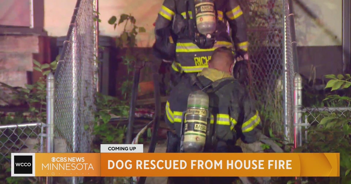 Dog rescued from Minneapolis house fire CBS Minnesota
