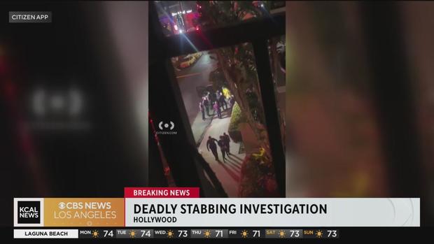 hollywood-stabbing-arrest.jpg 