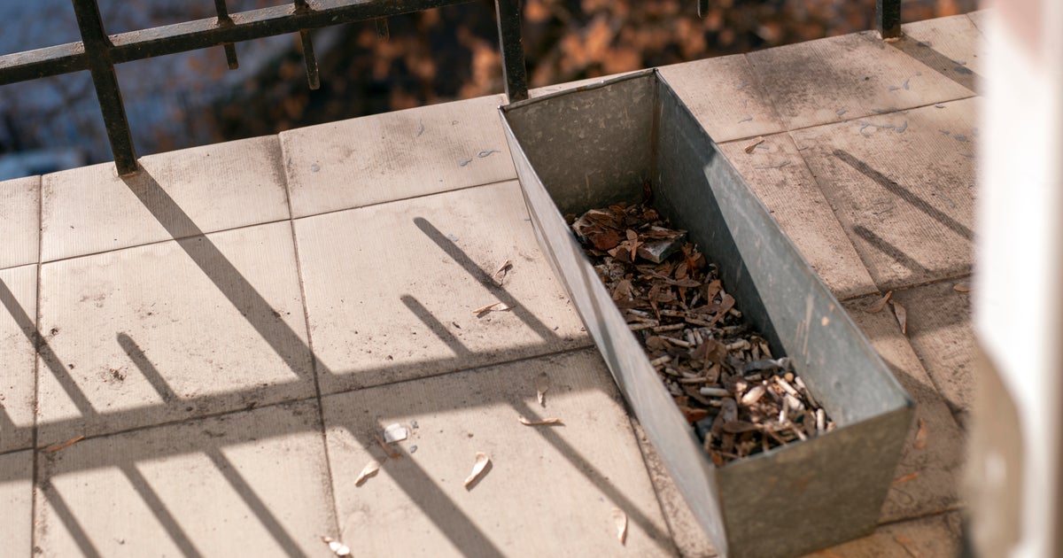 Improperly discarded cigarette leads to condo fire killing dog