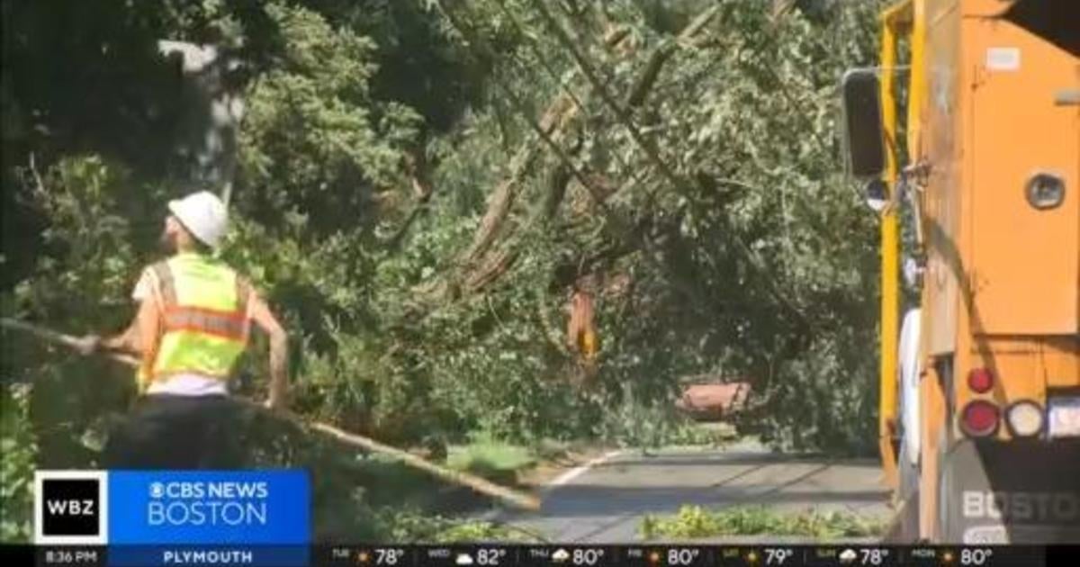 Tornado touches down on Cape Cod CBS Boston