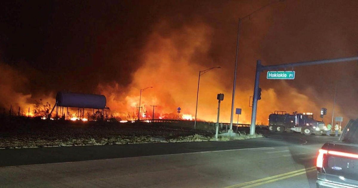 Най малко 36 души са загинали от горски пожар в