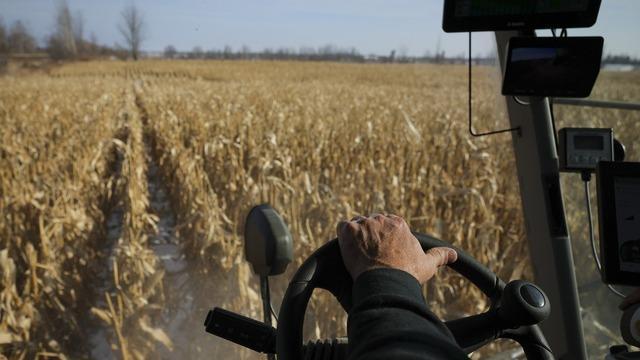 cbsn-fusion-climate-change-harming-worlds-food-supply-with-corn-wheat-harvests-impacted-thumbnail-2196299-640x360.jpg 