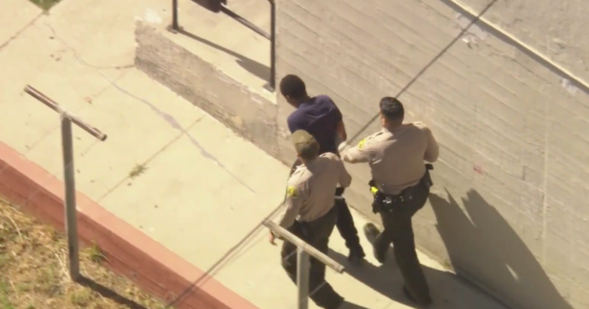 Pursuit suspect arrested in San Pedro - CBS Los Angeles