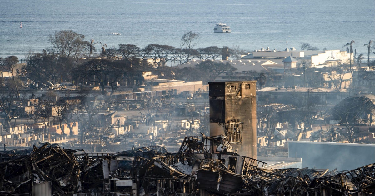 Progress made in recovery after Maui fires but much more to do