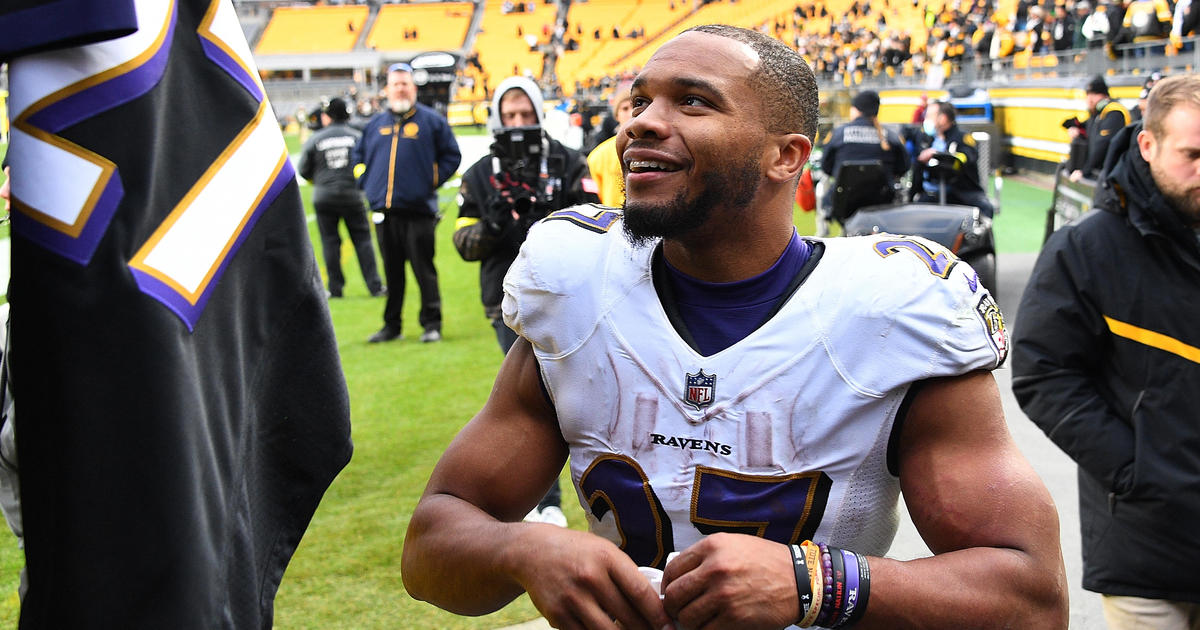 NFL Baltimore Ravens Football Field Runner