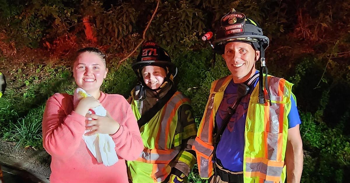 Pet cockatoo rescued from tree in South Park