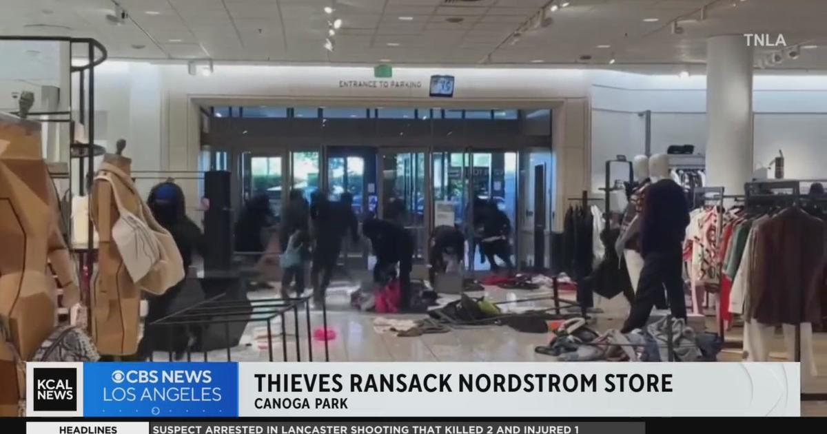 Mob of up to 50 Shoplifters Hits Nordstrom - The San Fernando