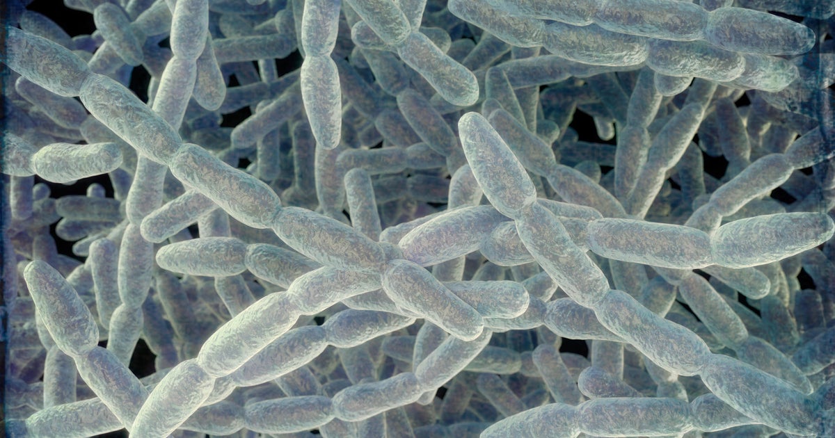 Legionnaires' disease cluster in Harlem under investigation, officials say 