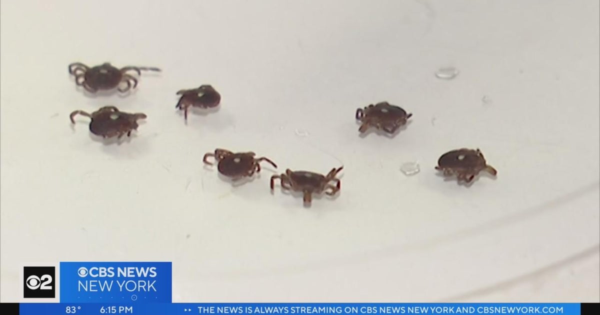 Northeast's first dedicated tick clinic opens on Long Island - CBS New York