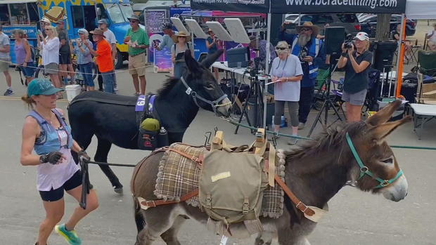 buena-vista-burro-races-vo-frame-959.jpg 