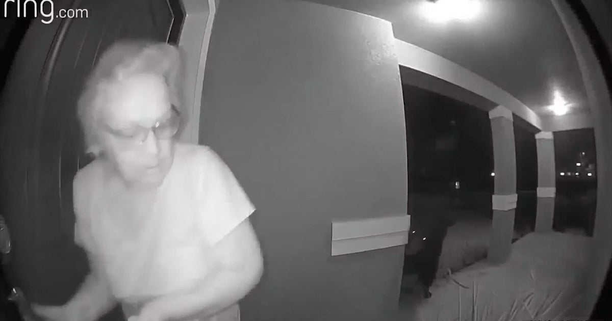 Florida lady will come facial area to encounter with bear outdoors her door Florida lady will come facial area to encounter with bear outdoors her door