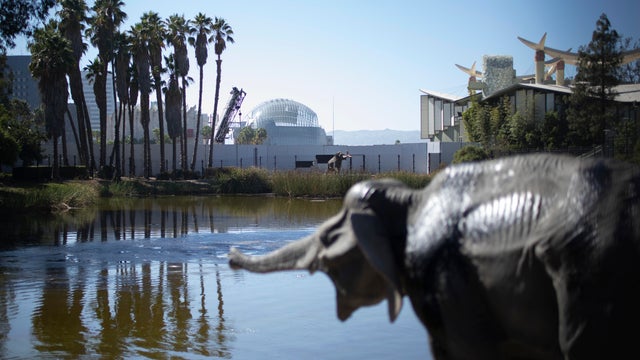 academy museum motion pictures hollywood cinema film geffen theater 