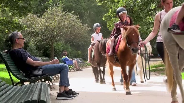 Children's pony rides banned in Paris following animal rights campaign