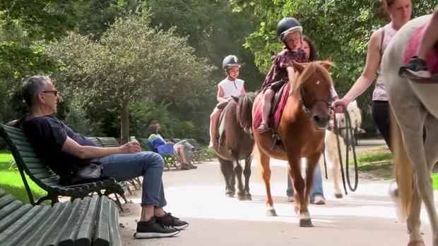 Paris bans pony rides for children following animal rights campaign 