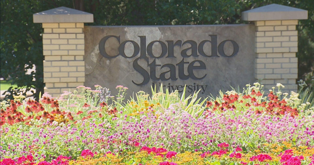 APPLYING TO COLORADO STATE visual data 2