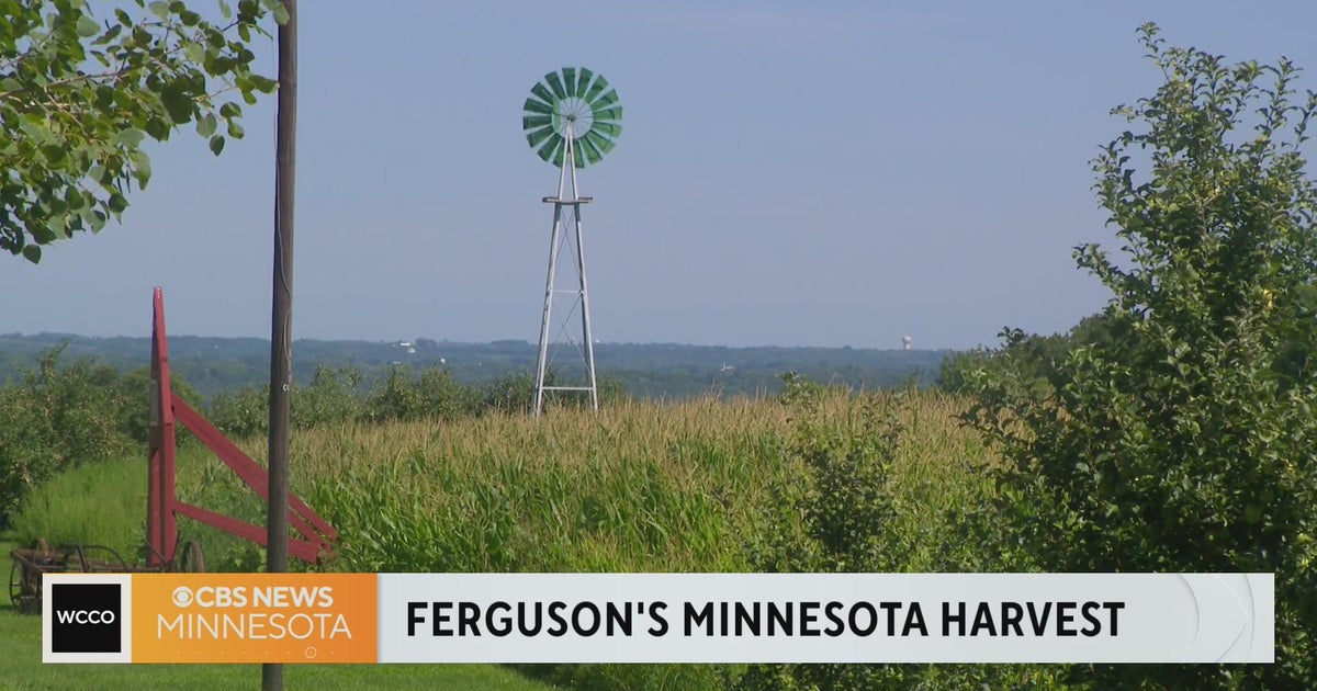 Ferguson's Minnesota Harvest opens for season CBS Minnesota