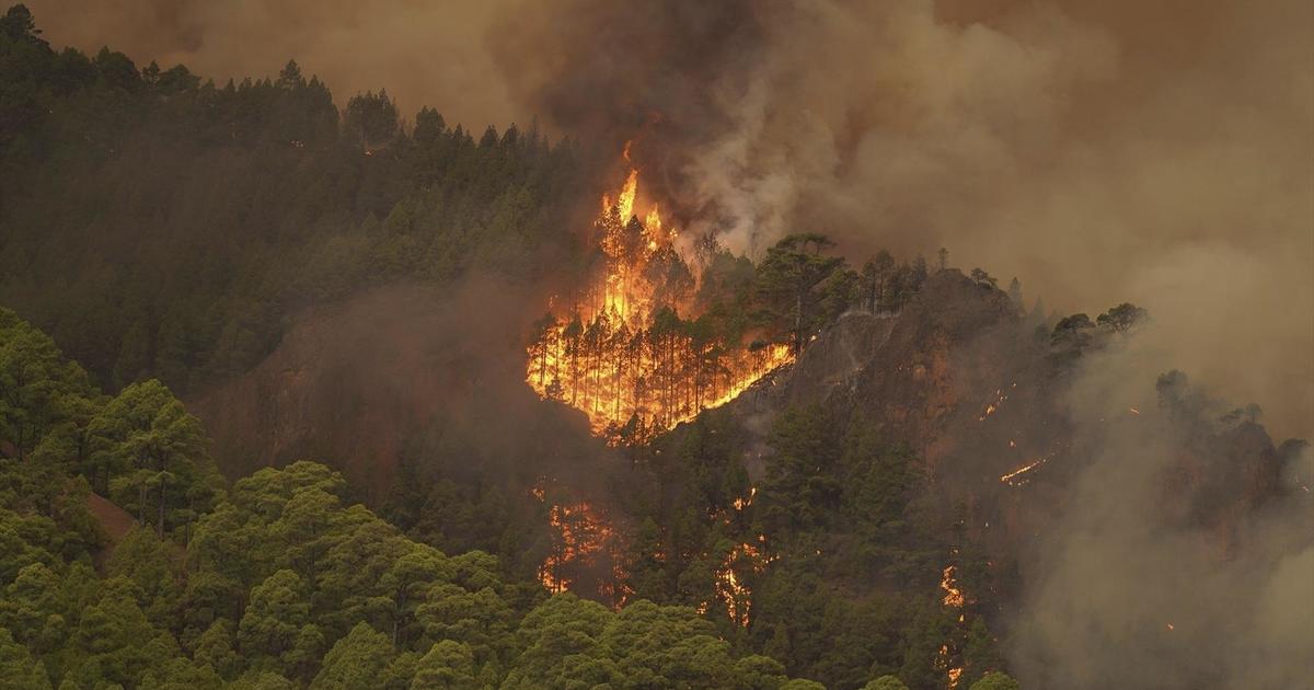 Los bomberos luchan contra el calor y el humo para controlar un gran incendio forestal en la turística isla española de Tenerife