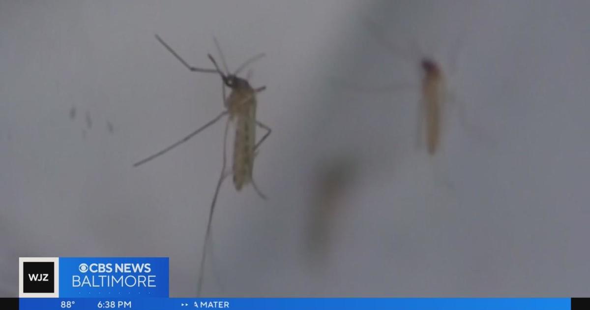 Malaria case reported in Maryland