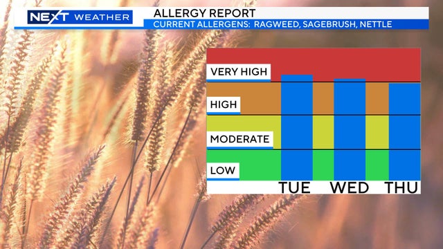 allergy-report-week.jpg 