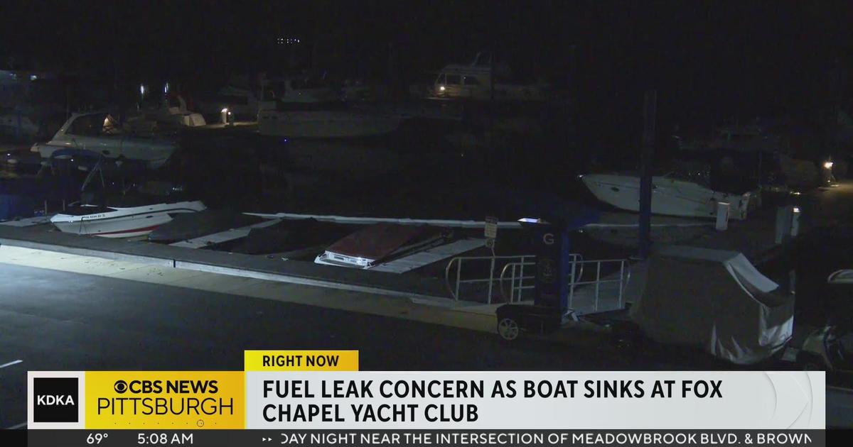 boat sinks at fox chapel yacht club