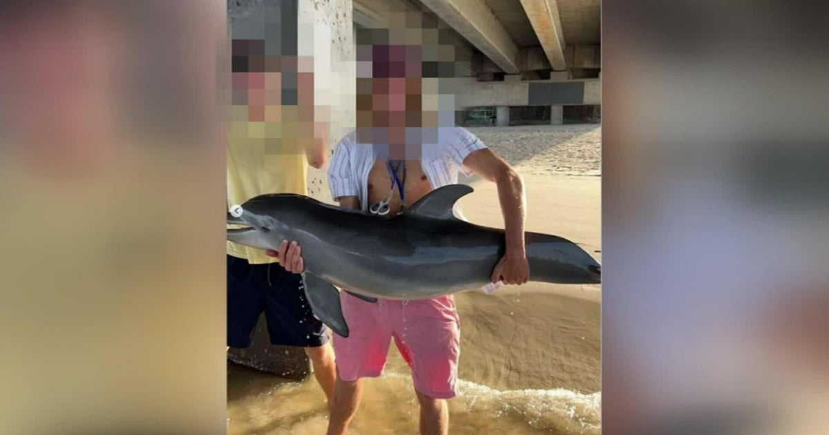 Florida male shares image holding dolphin out of h2o, prompts investigation Florida male shares image holding dolphin out of h2o, prompts investigation