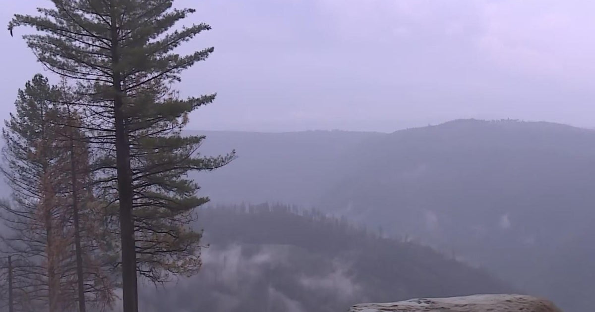 Foresthill warned of possible mudlsides as Hilary moves through Sierra